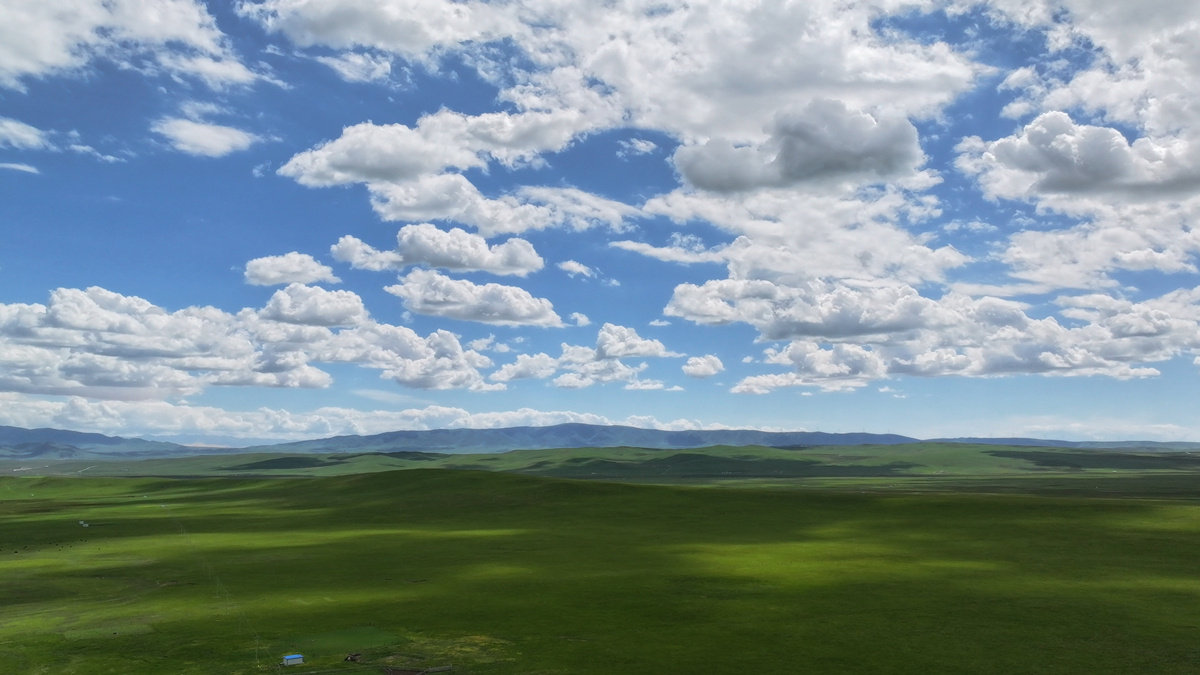 一场, 子城纪念馆, 它让生态之