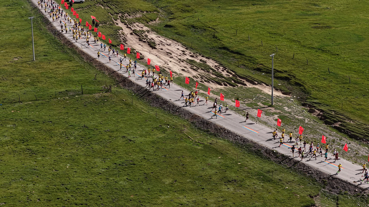 海晏, 观众不仅体, 余走进辽阔