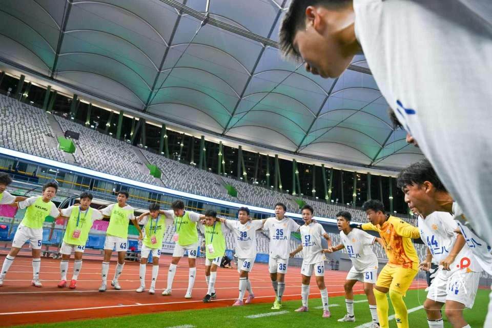 qUDxI, 范性与系统