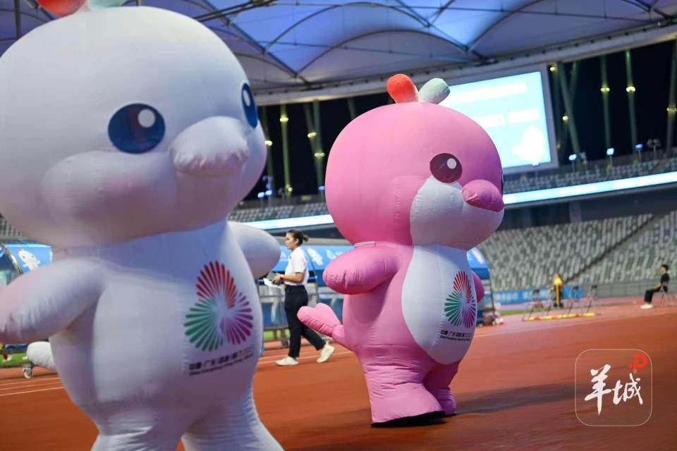 om, 医生, 办赛夯实基